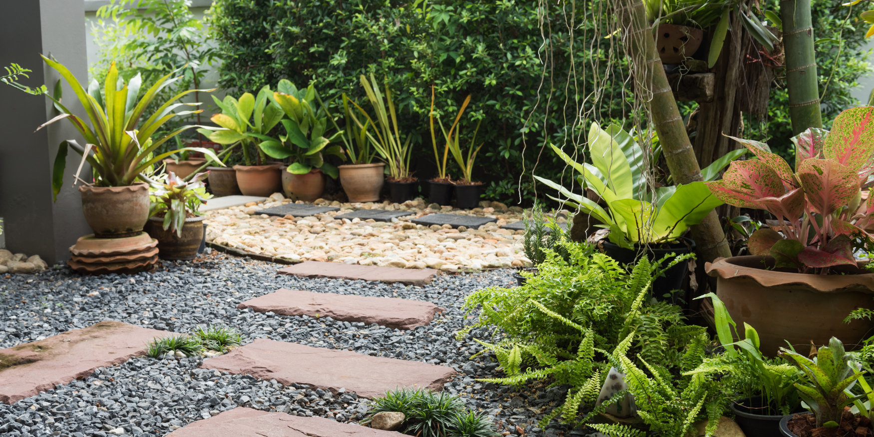 A garden filled with lots of different types of plants