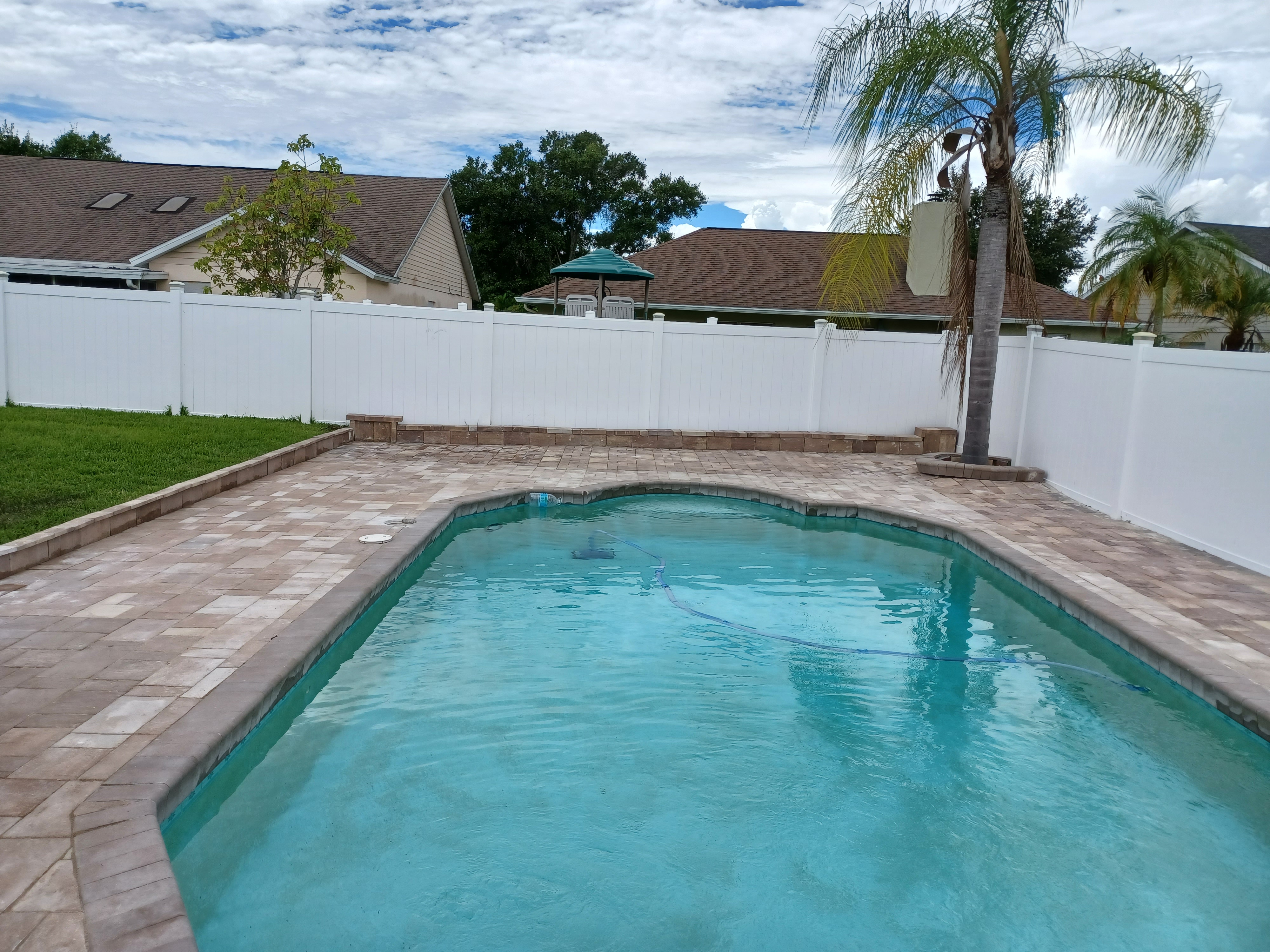 A pool with a palm tree in the middle of it